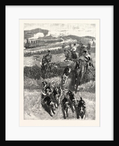 Following the Hounds by Train; New Zealand by Anonymous