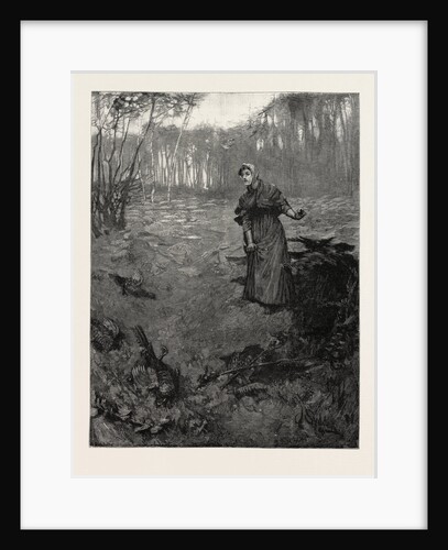 Tess of the D'Urbervilles by Anonymous