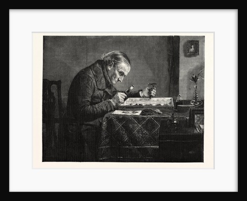 The Naturalist by Anonymous