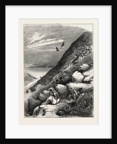 Above Loch Ettive a Bad Miss after a Long Stalk by Anonymous