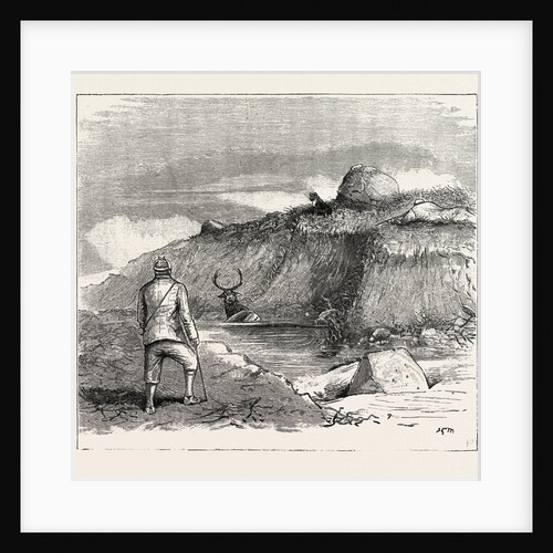 Deer Stalking in the Forest of the Black Mount, Argyllshire: The Coup De Grace by Anonymous