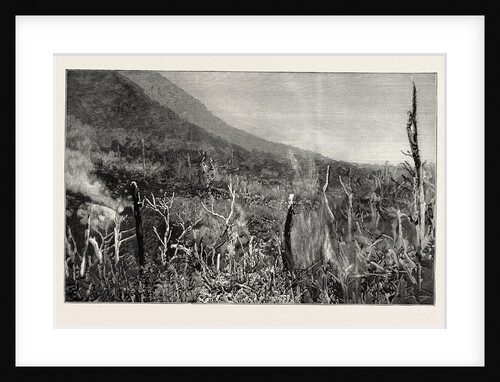 The Sulphur Grounds, Ojigoku (Great Hell), Near Lake Hakone, Japan by Anonymous