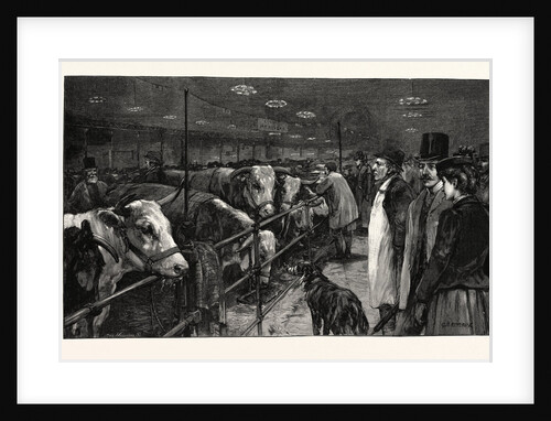 The Smithfield Club Cattle Show at the Agricultural Hall by Anonymous