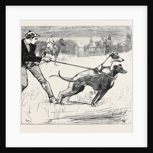 Master Magrath, the Slipper Waiting for the Signal Go! by Anonymous
