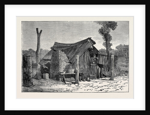 Sketches from Australia in Relation to the Tichborne Case: Hut in which the Claimant is Said to Have Lived at Wagga Wagga by Anonymous