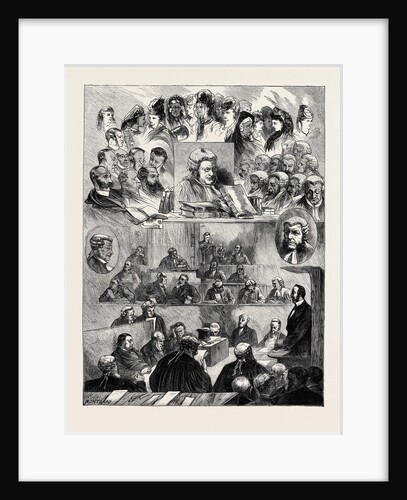 The Tichborne Case: Sketches of Heads in Court, Australia by Anonymous
