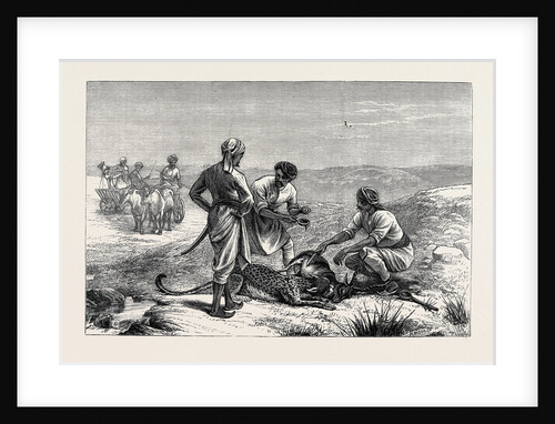 Sketches from India, Antelope Hunting: Caught by Anonymous