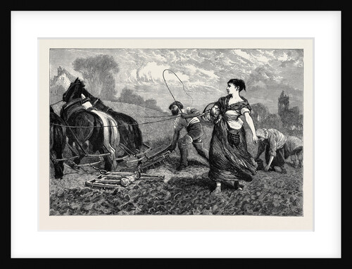 Country Notes, Harrowing after the Potato Crop by Anonymous