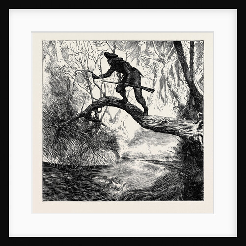 American Sketches: on the Scout, a Scene in the Backwoods by Anonymous