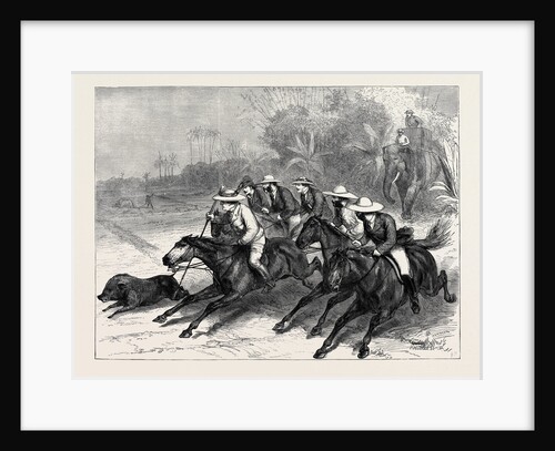 The Late Lord Mayo Hog Hunting at Pangsa, Eastern Bengal by Anonymous
