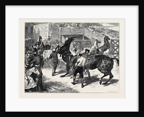 Rome: The Carnival Races: The Barberi Going Up to the Start by Anonymous