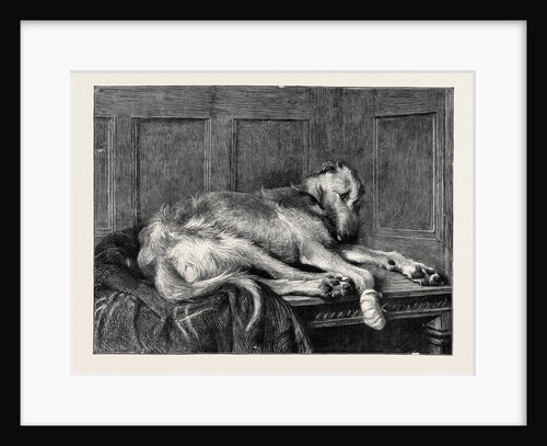 Much Ado About Nothing, in the Dudley Gallery by Anonymous