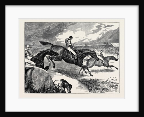 Steeplechasing: The Last Brook by Anonymous