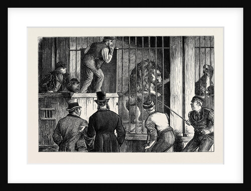 The Sale of a Menagerie: Catching the Lion by Anonymous