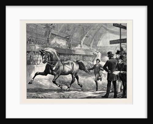 Trotting at the Islington Horse Show by Anonymous