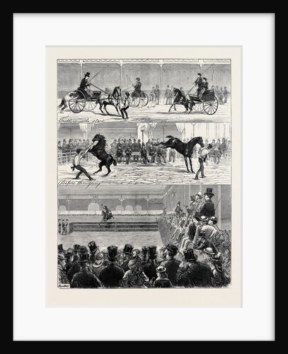 A Parisian Horse Show by Anonymous