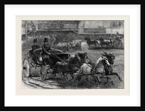 Four-in-Hand and Tandem Ponies at the Horse Show by Anonymous
