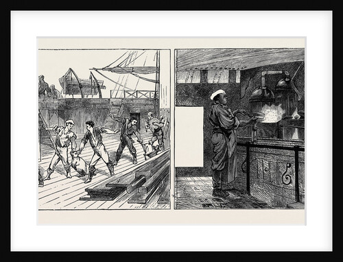 On Board the Indus Emigrant Ship: Live Provisions, the Galley and the Cook by Anonymous
