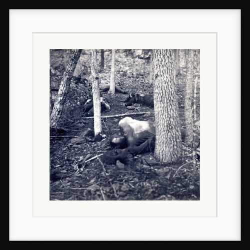 American Civil War: The Slaughter Pen at Gettysburg, Dead Soldiers in an Area Called the Slaughter Pen to the Right of the Union Line at the Foot of Round Top in Gettysburg in July of 1863 by Anonymous