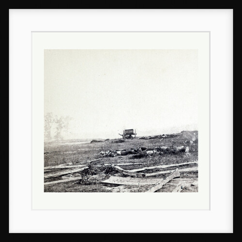 American Civil War: Where Sumner's Corps Charged at Antietam, Dead Soldiers, Horses, and Broken Gun Carriages after General Sumner's Corps Charged Over This Field on the Battlefied of Antietam on Sept. 17, 1862 by Anonymous