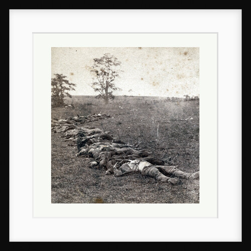 American Civil War: Gathered Together for Burial after the Battle of Antietam, Dead Bodies on the Ground by Anonymous