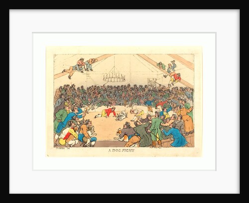 A Dog Fight by Anonymous