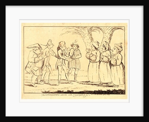 The Commissioner's Interview with Congress by Anonymous