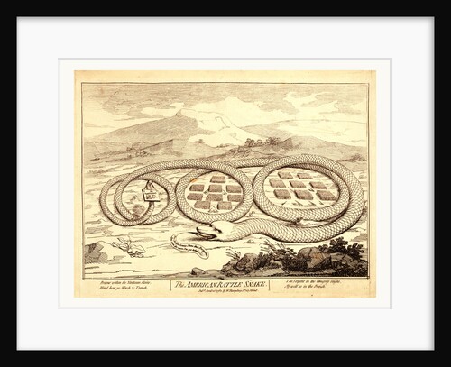 The American Rattle Snake by Anonymous