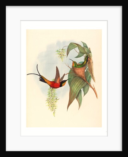 Topaza Pyra (Fairy Topaz) by Anonymous