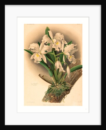 Gustav Leutzsch after Charles Storer by Anonymous