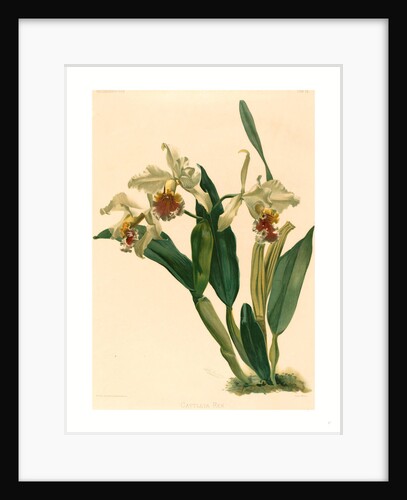 Gustav Leutzsch after Henry George Moon by Anonymous