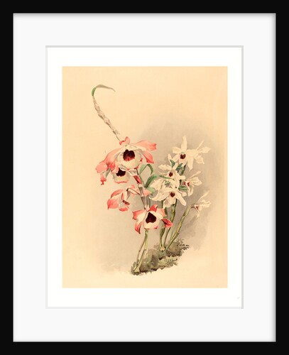 Joseph Mansell after Henry George Moon by Anonymous