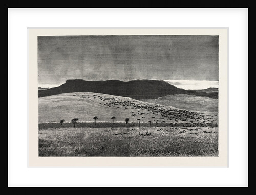 The War in the Soudan: The Battlefield of Abu Klea after the British Victory, January 17, 1885 by Anonymous
