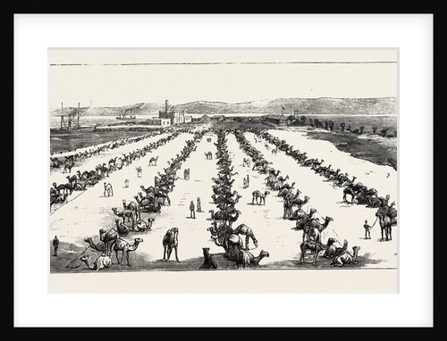 The War in the Soudan: The Camel Depot at Suez by Anonymous