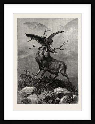 A Royal Duel Between a Stag and an Eagle by Anonymous