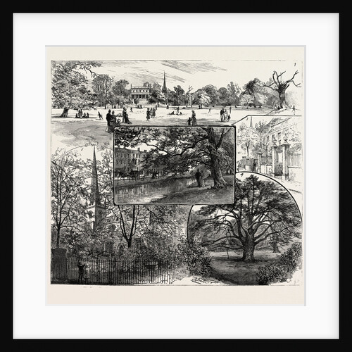 Breathing Spaces for London, Clissold Park, Stoke Newington, Open to the Public on Sundays by Anonymous