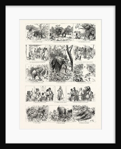 The Frolics of a Ceylon Rogue Elephant and Their Consequences by Anonymous