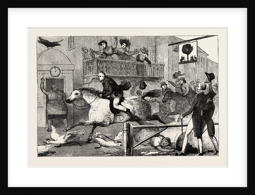 J. Doyle: John Gilpin, May 13, 1831 by Anonymous