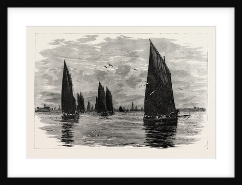 Aberdeen, Departure of the Herring Fleet by Anonymous