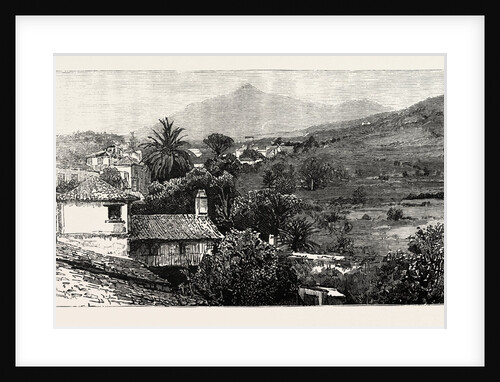 The Peak of Tenerife from Icod De Los Vinos, the Canary Islands by Anonymous