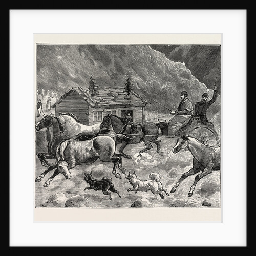 The Prince of Wales in Norway: on the Return from the Eikisdalsvand, the Prince and the Ponies by Anonymous