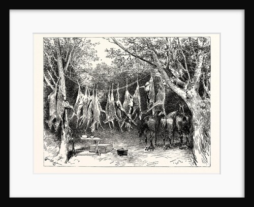 A Buck-Hunting Excursion in South Africa: Our Larder and Stable by Anonymous