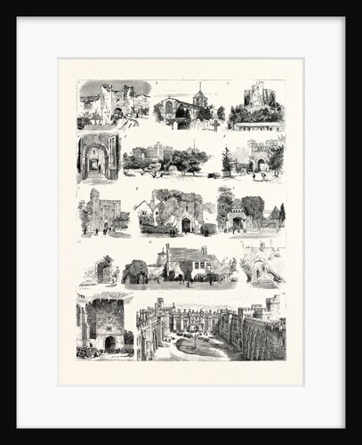 The British Archeological Association at Brighton, the Excursion to Arundel by Anonymous