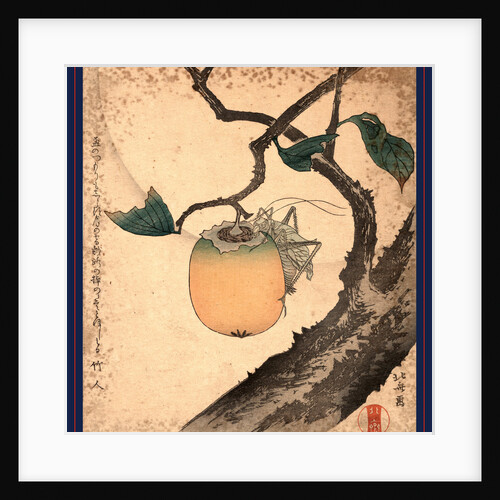 Kaki Ni Kirigirisu, Grasshopper Eating Persimmon by Anonymous