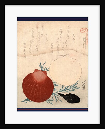 Karasugai Tsukihigai, Shellfish by Anonymous