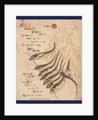 Mezashi to Tatamiiwashi, Sardines by Anonymous