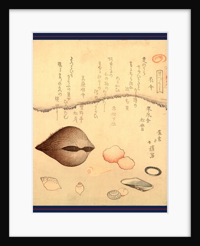 Hana Gai Aragai Masuo Gai, Aragai Hokkei, 1780-1850, by Anonymous