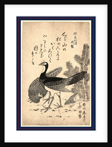 Komatsu Ni Yamadori, Wildfowl and Pine by Anonymous