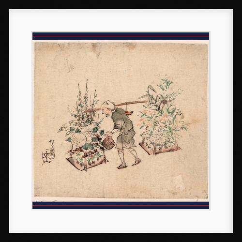 Hanauri, Flower Vendor by Anonymous