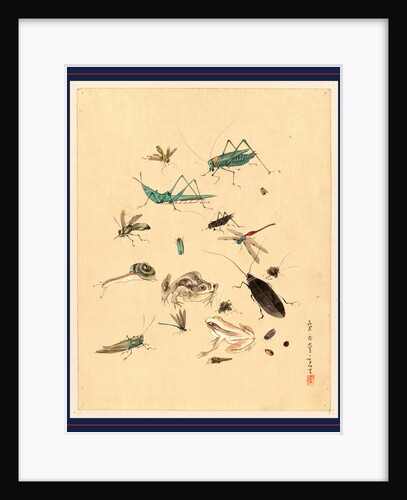 Frogs Snails and Insects, Including Grasshoppers Beetles, Wasps, and Dragonflies by Anonymous